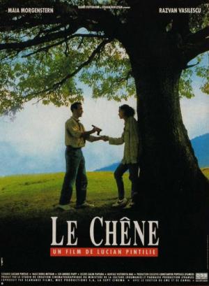 Le chêne (1992)