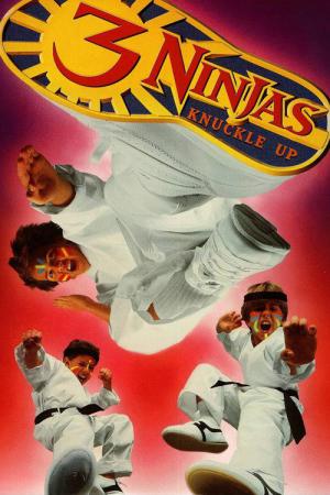 Les 3 Ninjas se révoltent (1995)