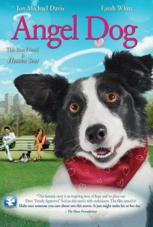 Cooper un amour de chien (2011)