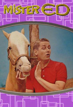 Monsieur Ed, le cheval qui parle (1961)