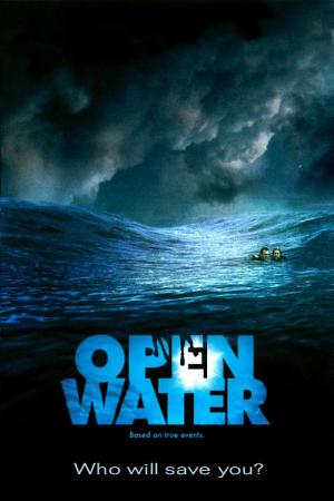 Open Water : En eaux profondes (2003)