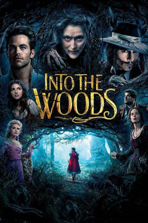 Into the Woods : Promenons-nous dans les bois (2014)
