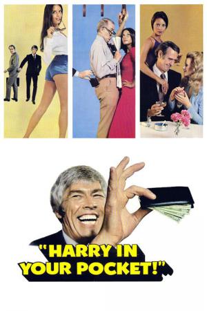 La Loi selon Harry (1973)