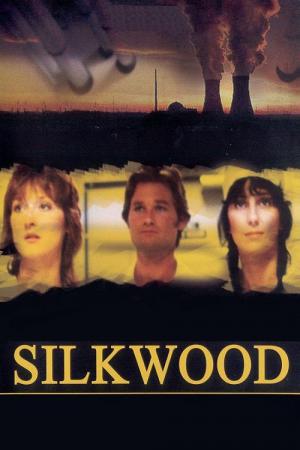 Le Mystère Silkwood (1983)