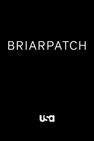 Briarpatch (2019)