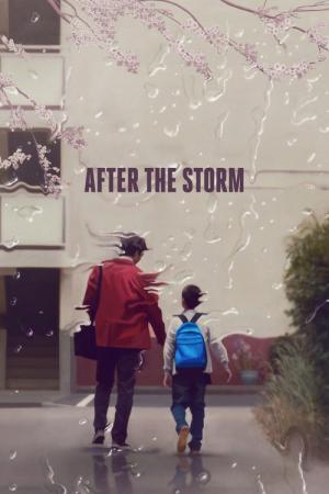 Après la tempête (2016)