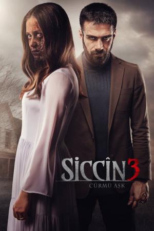 Sijjin 3 - The Forbidden Love (2016)