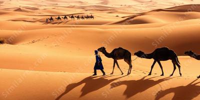 Désert du Sahara films