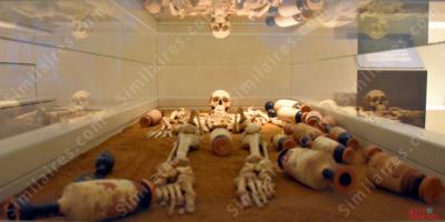 tombeaux et squelettes films