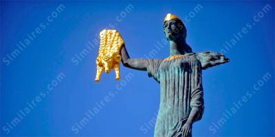 La toison d'or films