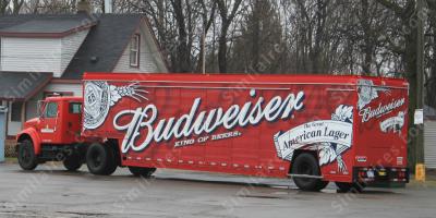 budweiser films