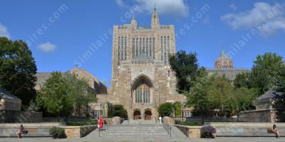 Université de Yale films