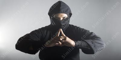 guerrier ninja films