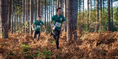 courir à travers les bois films