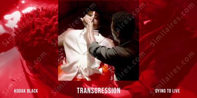 transgression films