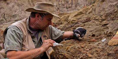 paléontologiste films
