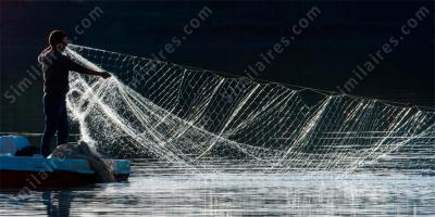 filet de pêche films