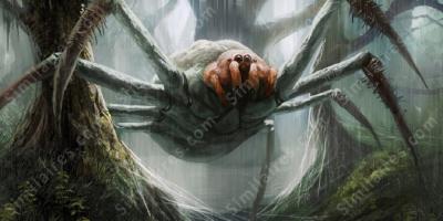 araignée géante films