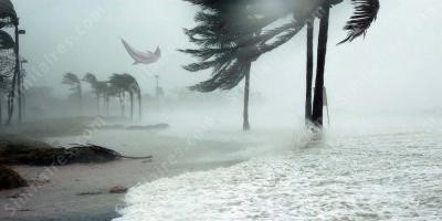 ouragan films