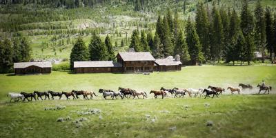 ranch de chevaux films