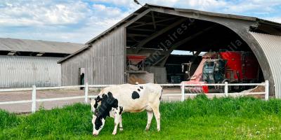 la ferme des animaux films